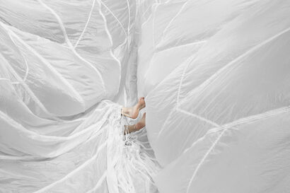 shape of things 037   - a Photographic Art Artowrk by LYNNE ROBERTS-GOODWIN